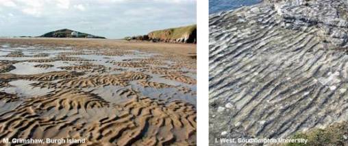 Ripple marks on sand and in rock.