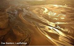 Tidal sand and mud-flats