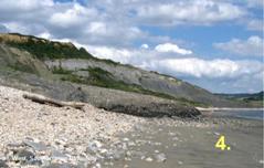 Ian West, Geology of the Wessex coast: www.soton.ac.uk