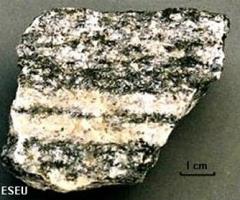 Metamorphic Rock