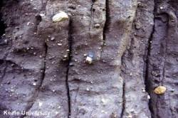 Boulder clay (moraine): a mixture of clay, pebbles and large rocks left by a glacier