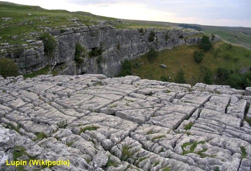 Malham pavement, Yorkshire