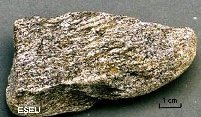 Schist hand specimen