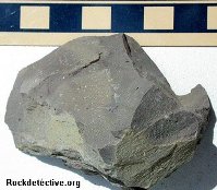 Mudstone hand specimen