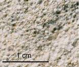 Oolitic limestone