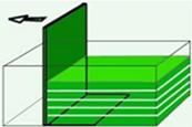 Experimental Setup Diagram