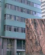 Facing Stones on Buildings