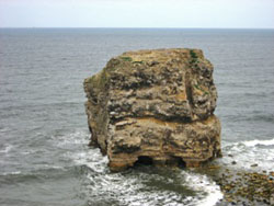 Figure 6. Marsden Rock