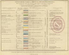 Table of organised fossils 16a