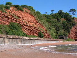 Dawlish Cliffs