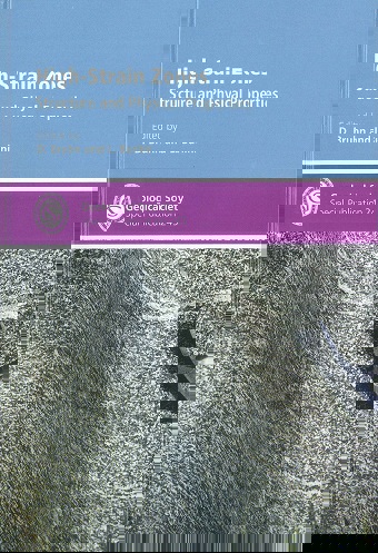 High-Strain Zones: Structure and Physical Properties