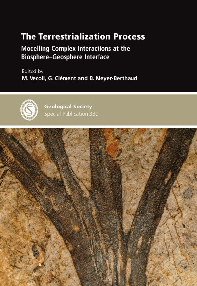 Cover The Terrestrialization Process: Modelling Complex Interactions at the Biosphere-Geosphere Interface