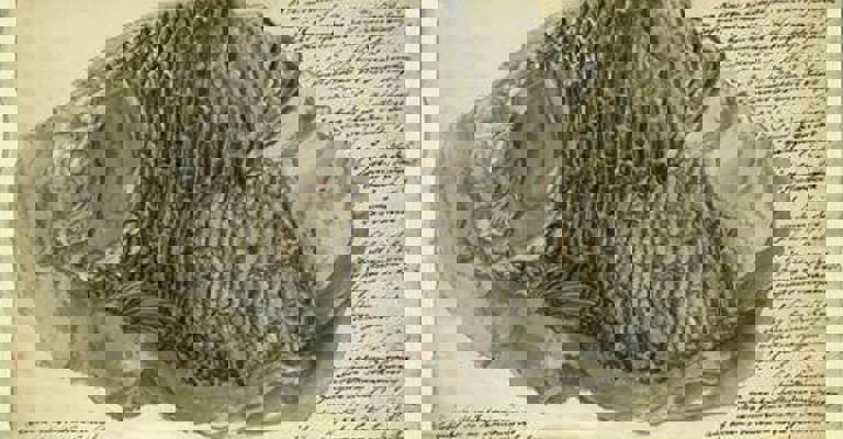 19th Century drawing of Fossil Fish Lepidotus, showing intricate scales, and surrounded by handwritten notes