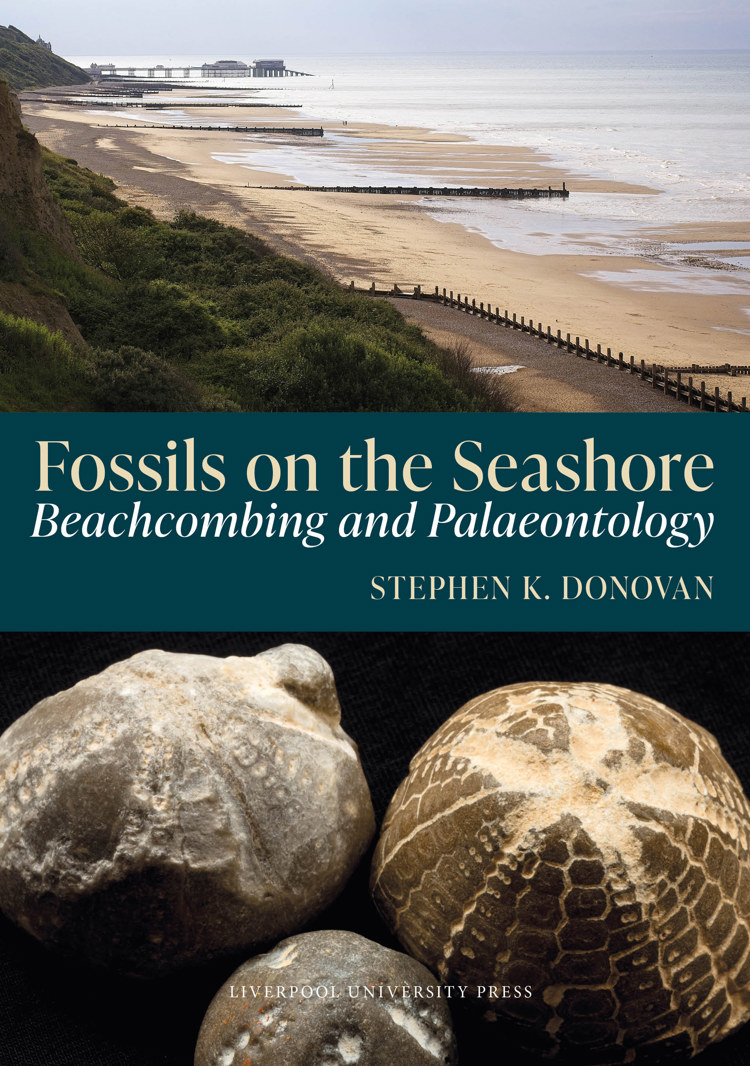  Fossils on the Seashore: Beachcombing and Palaeontology cover image
