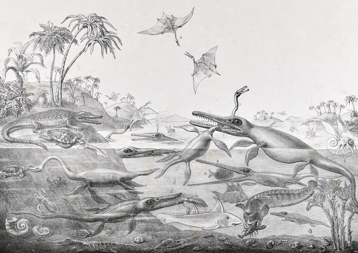 Lithograph 'Duria Antiquior' by Henry De la Beche, 1830