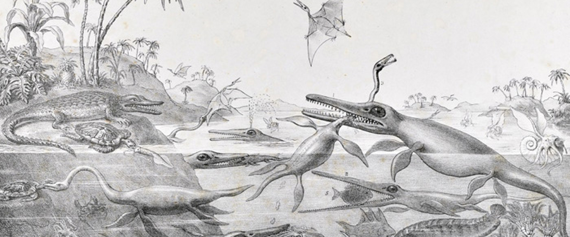 Lithograph 'Duria Antiquior' by Henry De la Beche, 1830