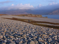 Raised Beach