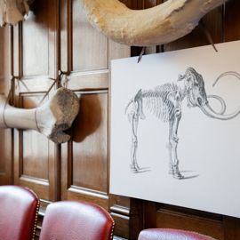 A woodpanelled wall hung with replica fossil bones and a picture of a mastodon