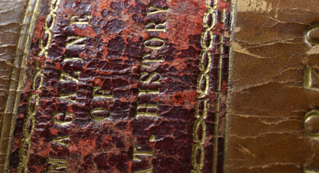 Magazine of Nat History - Spine Leather