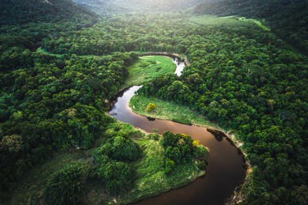 river winding through a forest
