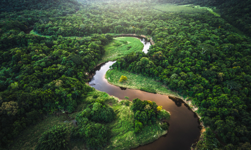 river winding through a forest