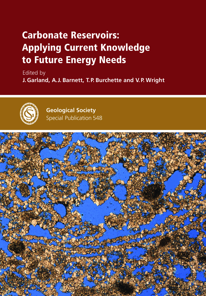Illustrated front cover of a Geological Society special publication.