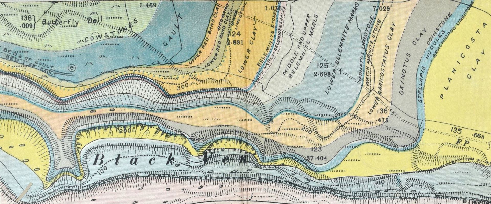 Detail of a geological map of Black Ven, 1914