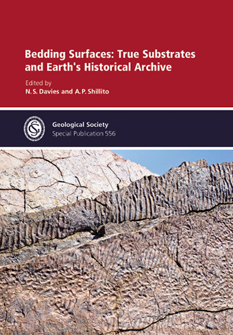 Cover Bedding Surfaces: True Substrates and Earth's Historical Archive