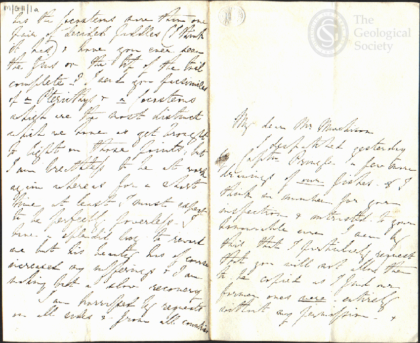 Letter from Eliza Gordon-Cumming, 14 Apr 1842