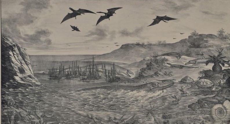 Lithograph Jura Formation', a reconstruction of German Jurassic life, possibly by Nicolas Christian Hohe, [1831].