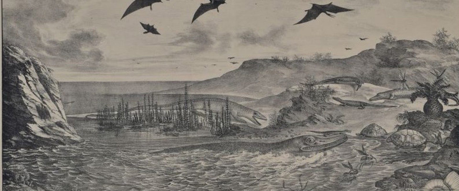 Lithograph Jura Formation', a reconstruction of German Jurassic life, possibly by Nicolas Christian Hohe, [1831].
