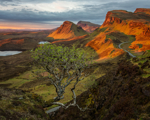 Sunset over cliffs, trees, grasses