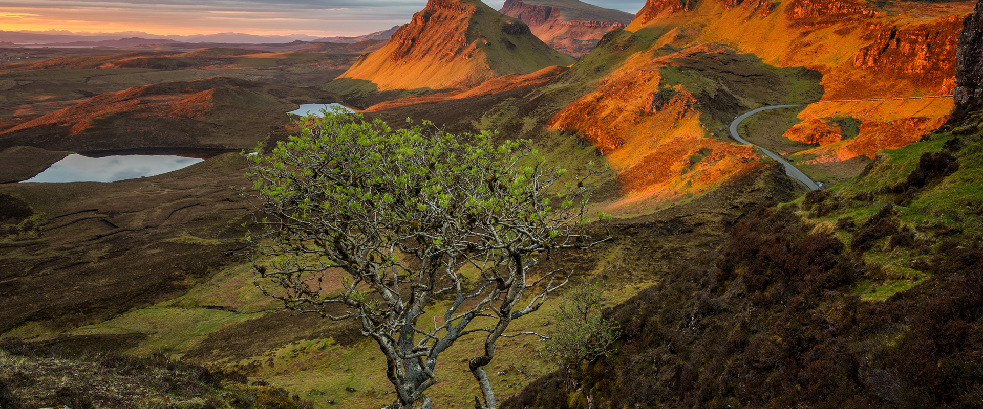 Sunset over cliffs, trees, grasses