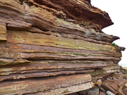 Bendrick Rock Dinosaur Footprints