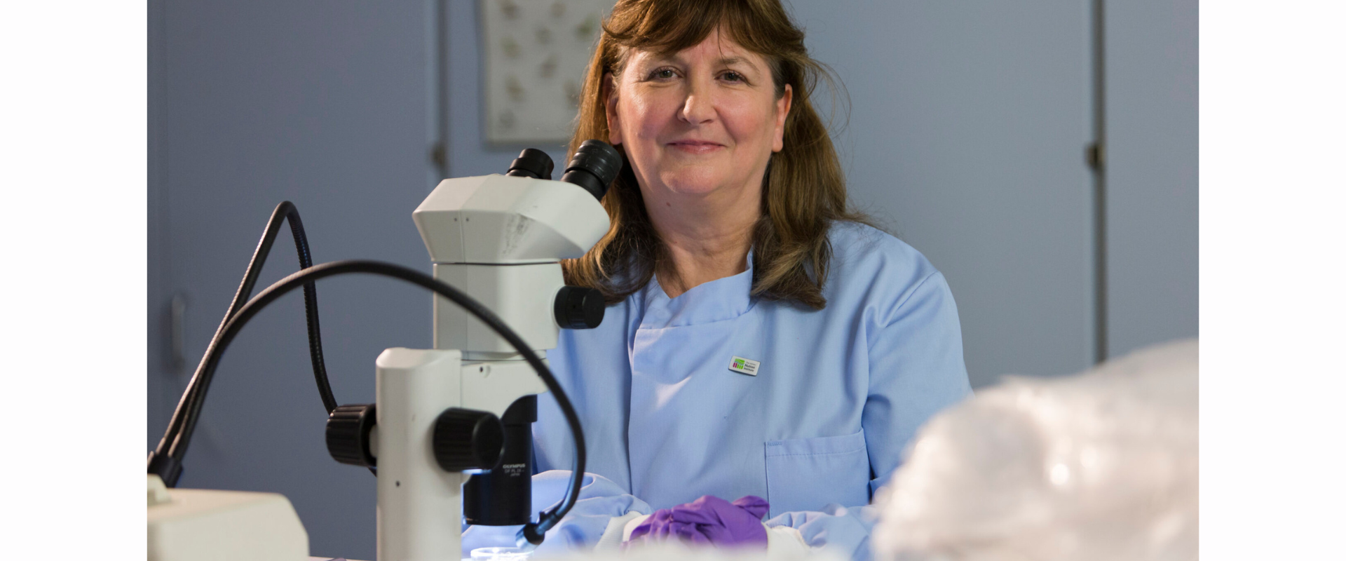 A person wearing a light blue lab coat seated at a workstation with a white laboratory microscope in front of them. A purple glove rests on the benchtop, along with various lab materials. The background shows a light-coloured wall and cabinets, with a framed display featuring multiple small specimens hanging behind the person.