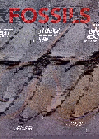 Cover Fossils of the Jurassic Coast 