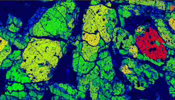 AMEPS Image