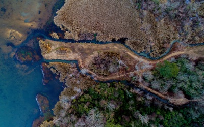 Aerial views of a landscape. Trees and rivers