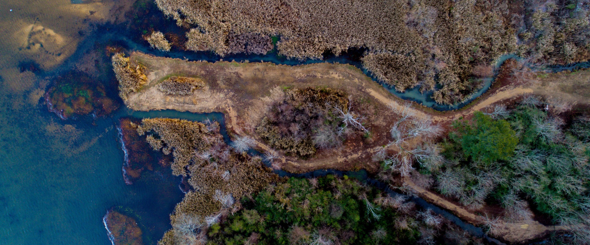 Aerial views of a landscape. Trees and rivers