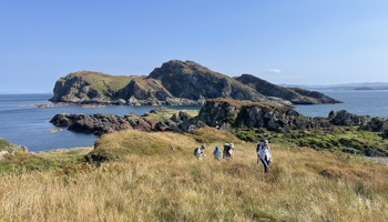 Five hikers traverse a grassy coastal landscape with rocky hills and a calm sea under a clear blue sky, conveying a sense of adventure and tranquility.
