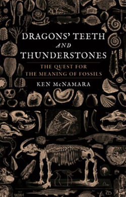 Cover Image Dragons’ Teeth and Thunderstones: The Quest for the Meaning of Fossils 