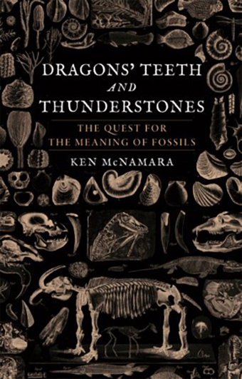 Cover Image Dragons’ Teeth and Thunderstones: The Quest for the Meaning of Fossils 