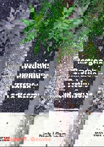 Cover Investigation, Remediation and Protection of Land Resources