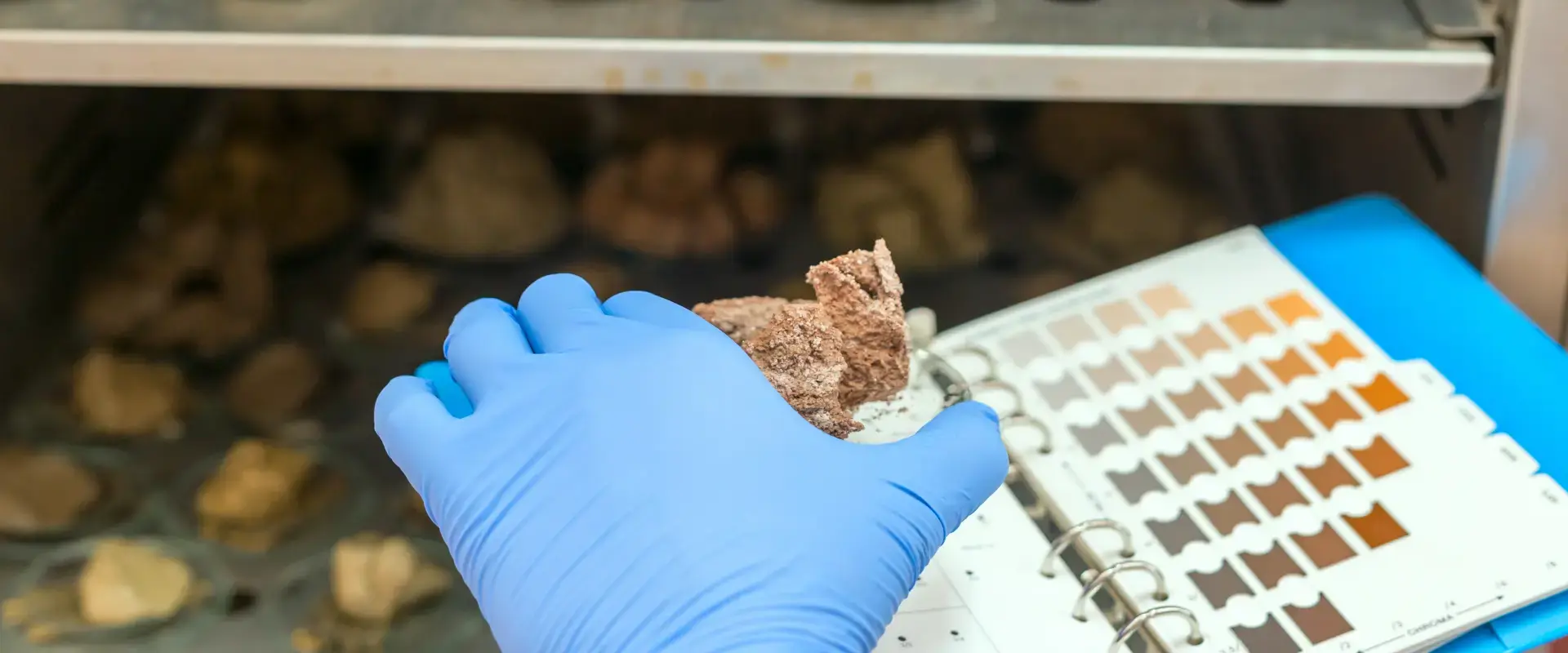 person with blue lab gloves handling rock samples