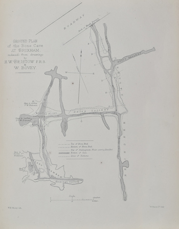 Plan of Brixham cave