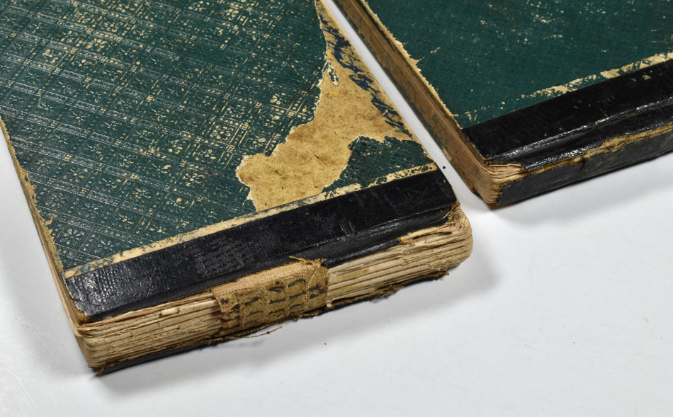 Dr Ernest LLOYD-JONES - Field Book Spines