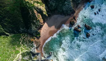 Land With Beach Waves