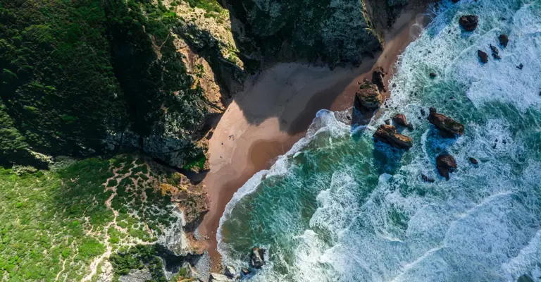 Land With Beach Waves