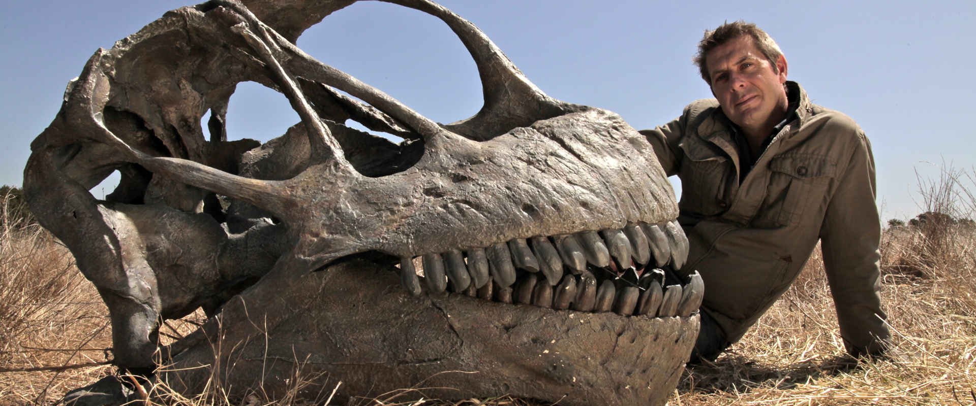 “A paleontologist poses beside a large dinosaur skull in a dry, grassy environment under a clear blue sky, highlighting the massive teeth and intricate bone structure.”