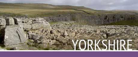 yorkshire